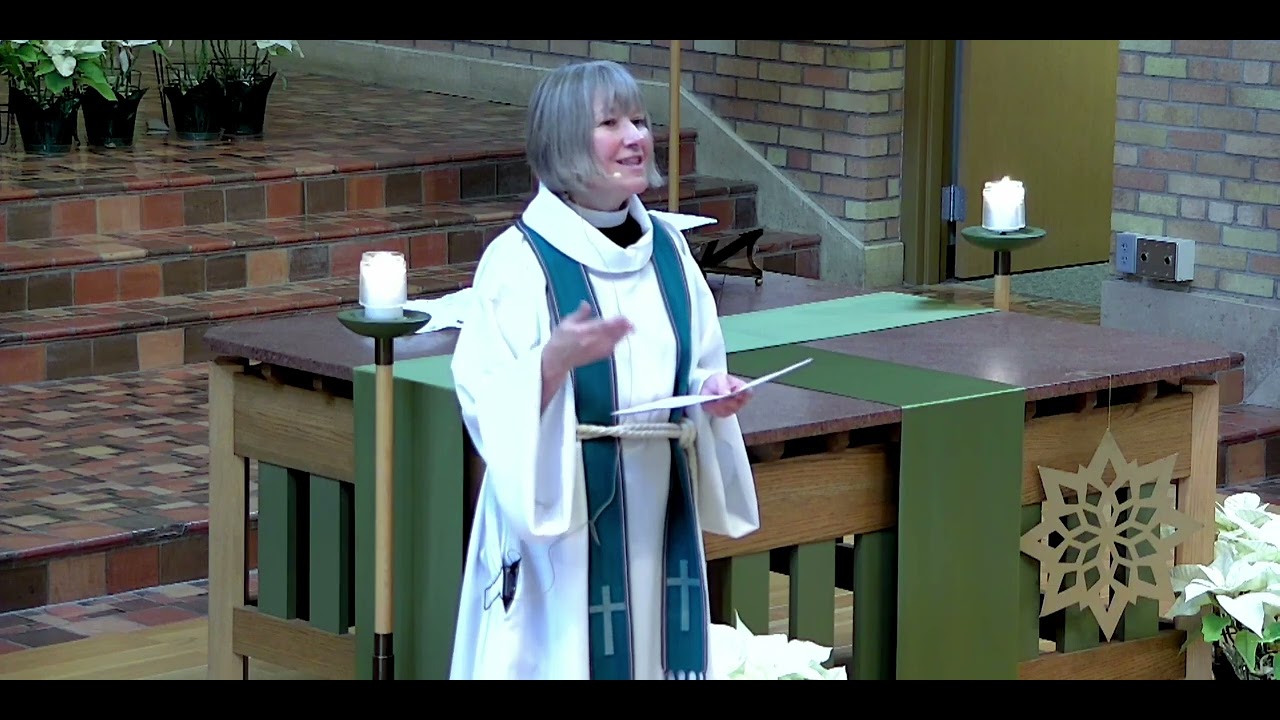 Our true vocation: Finding purpose in small acts of love