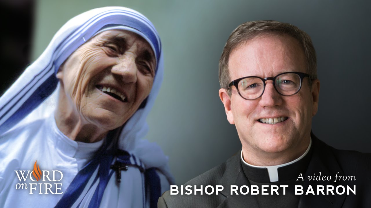 Bishop Barron: Saint Teresa's Example