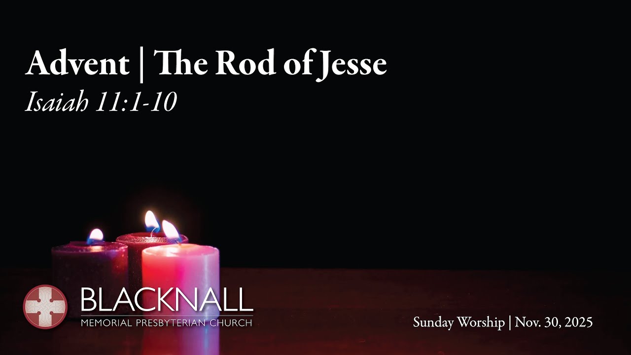 First Sunday of Advent: The stump of Jesse
